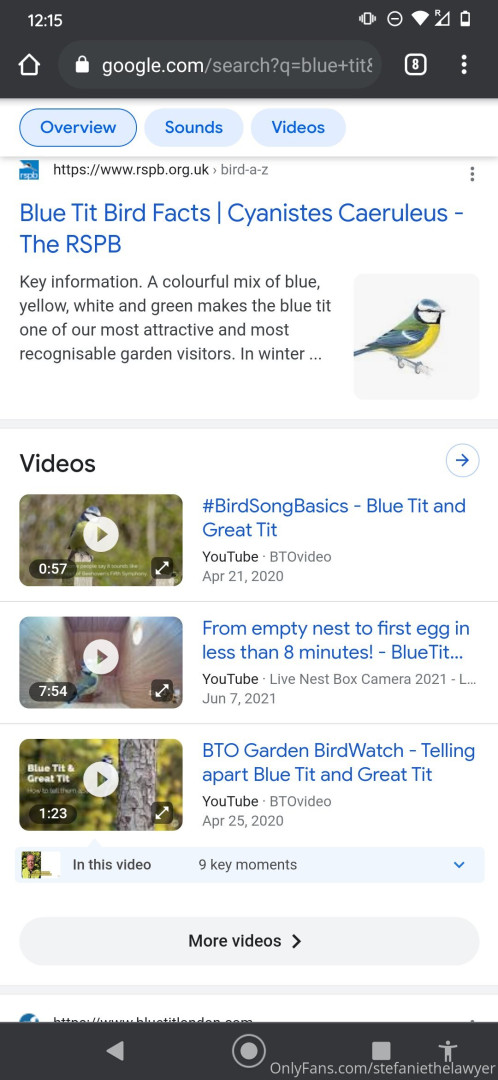 Photo by stefaniethelawyer published on May 17,2023 15:30:35 - BestThots