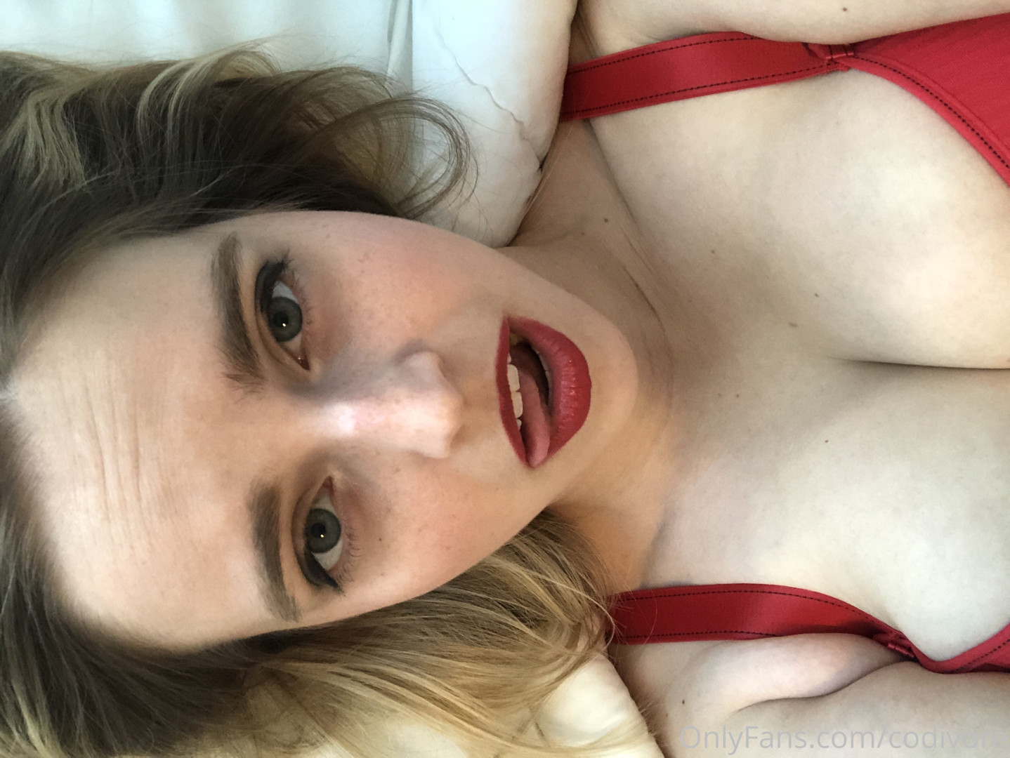 Photo by codivore published on October 16,2023 19:43:52 - BestThots