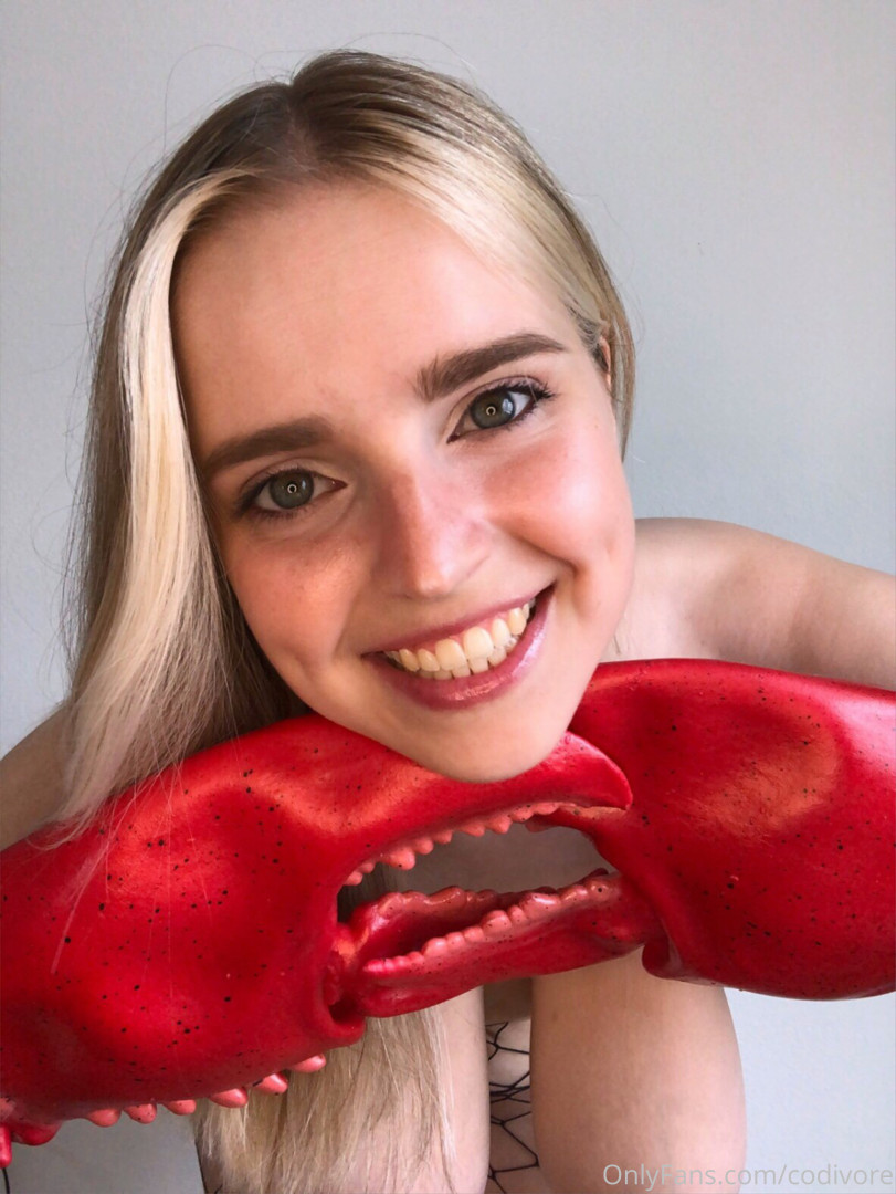 Photo by codivore published on October 16,2023 23:39:18 - BestThots