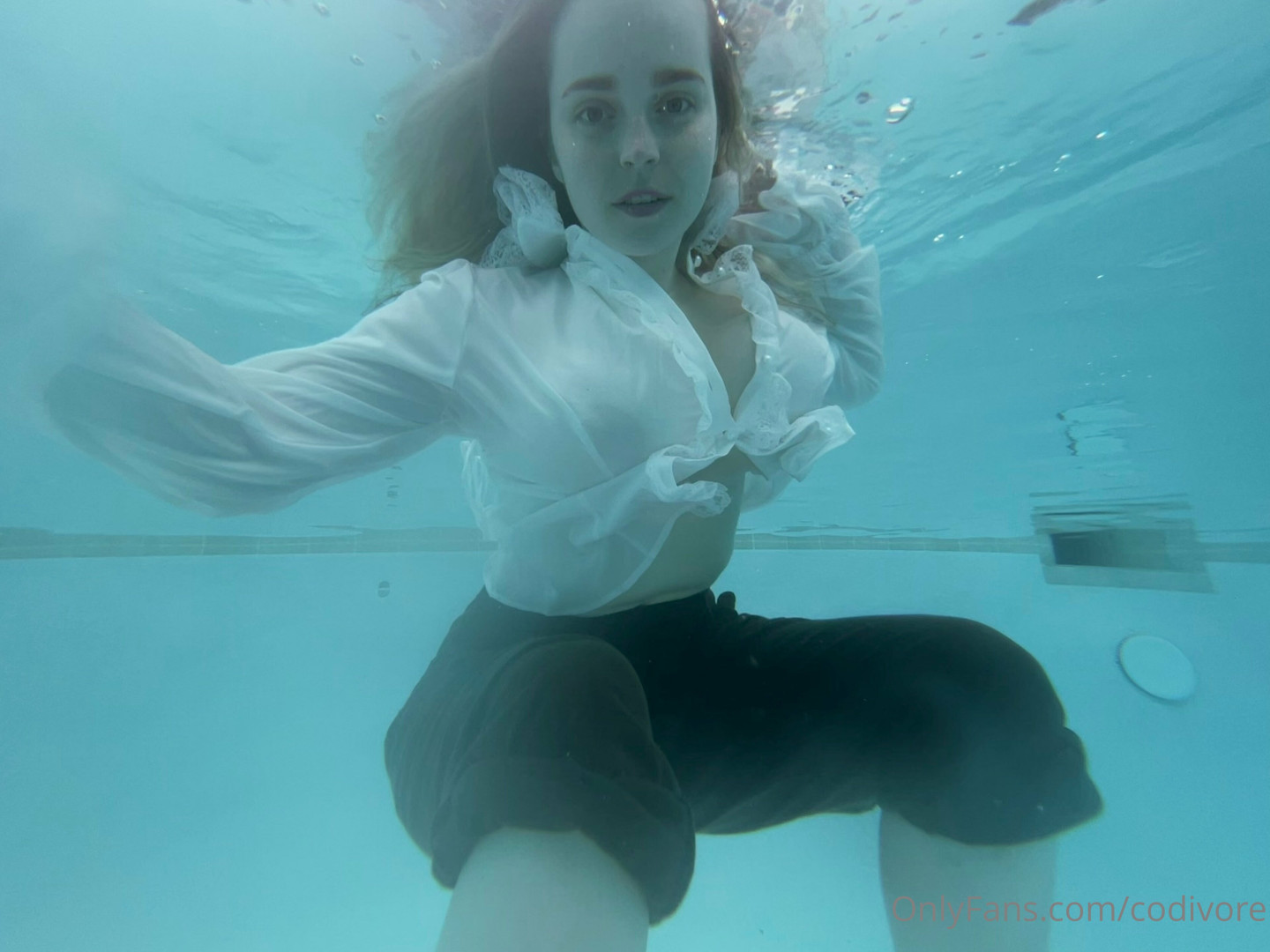 Photo by codivore published on October 16,2023 23:47:30 - BestThots