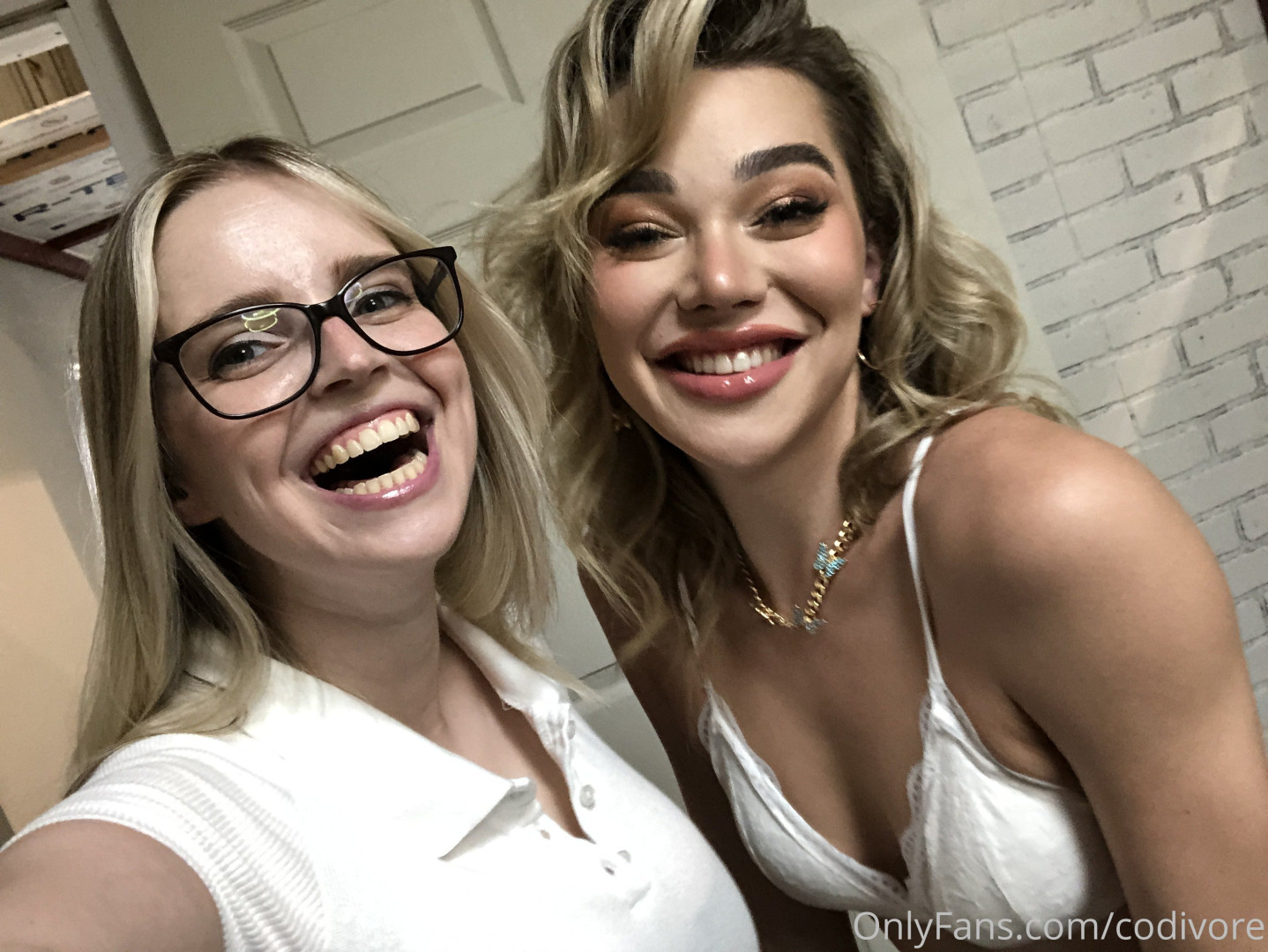 Photo by codivore published on October 16,2023 23:50:52 - BestThots