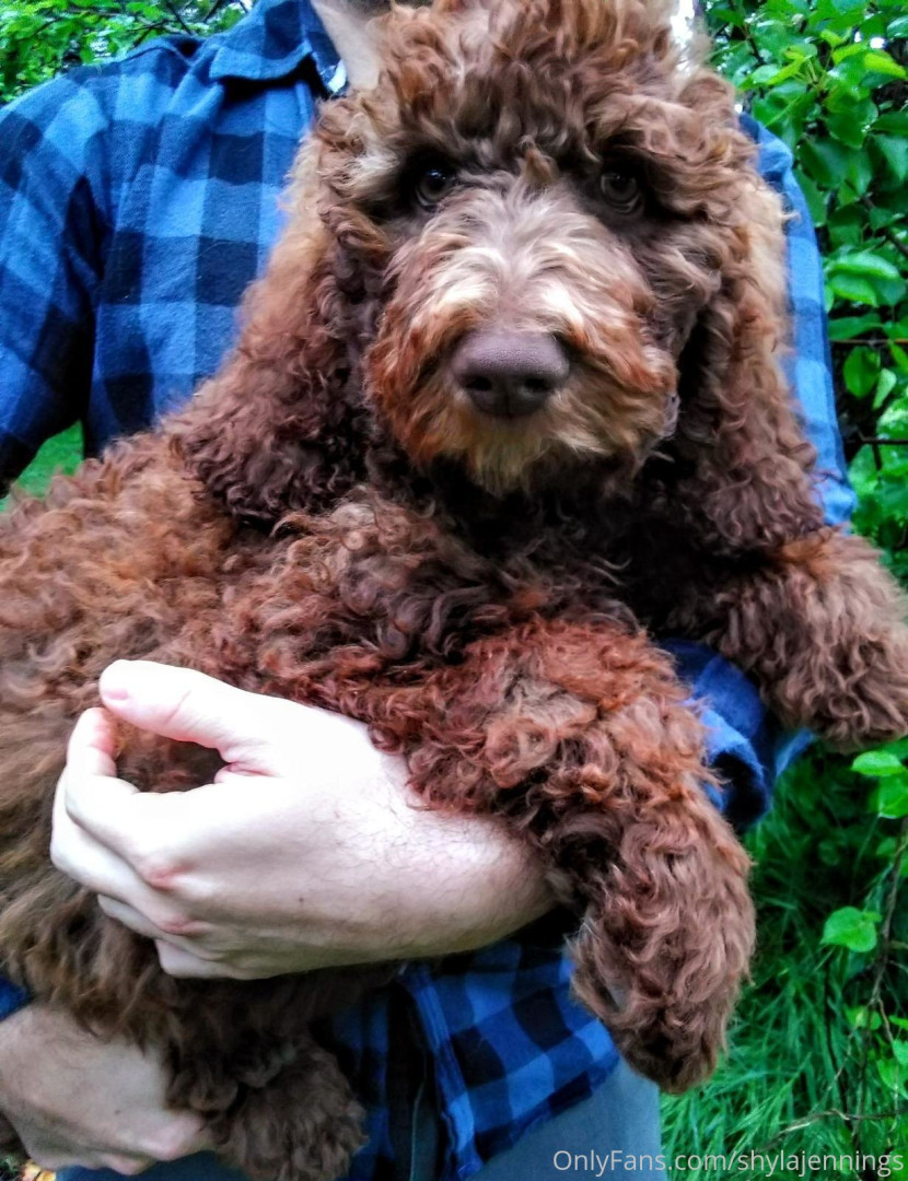 Photo by shylajennings published on June 25,2023 05:23:15 - BestThots