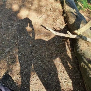 gwendollpeach #2047795