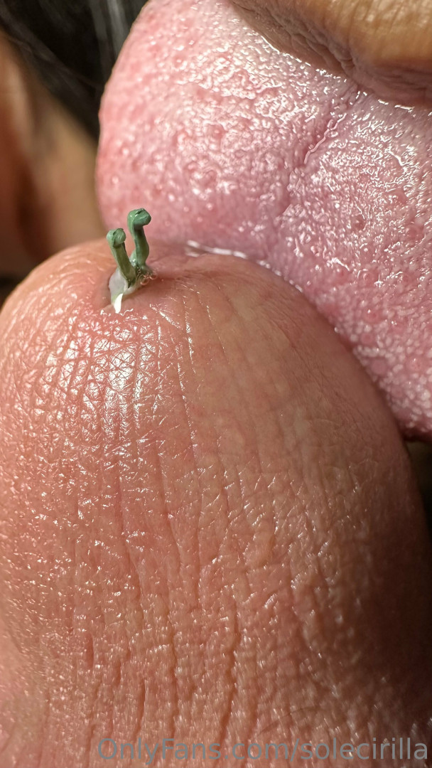 Photo by solecirilla published on May 17,2023 19:27:49 - BestThots