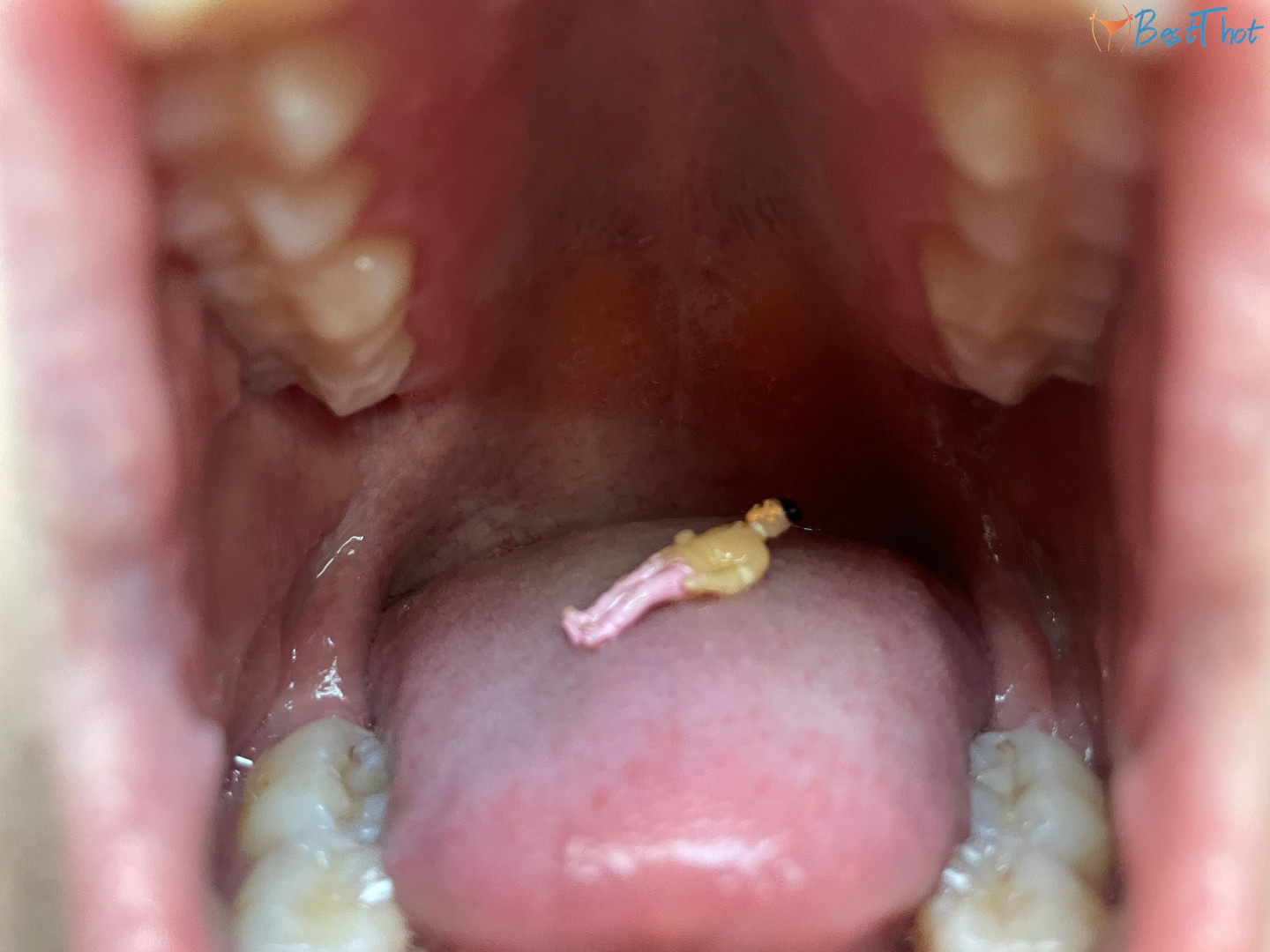 Photo by serenasoles99 published on December 14,2024 06:03:14 - BestThots