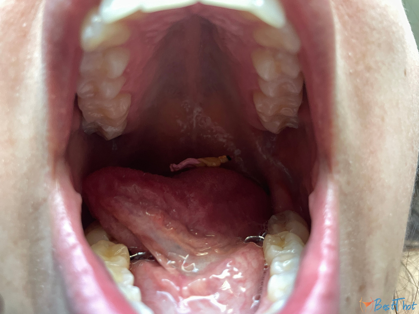 Photo by serenasoles99 published on December 14,2024 06:03:24 - BestThots