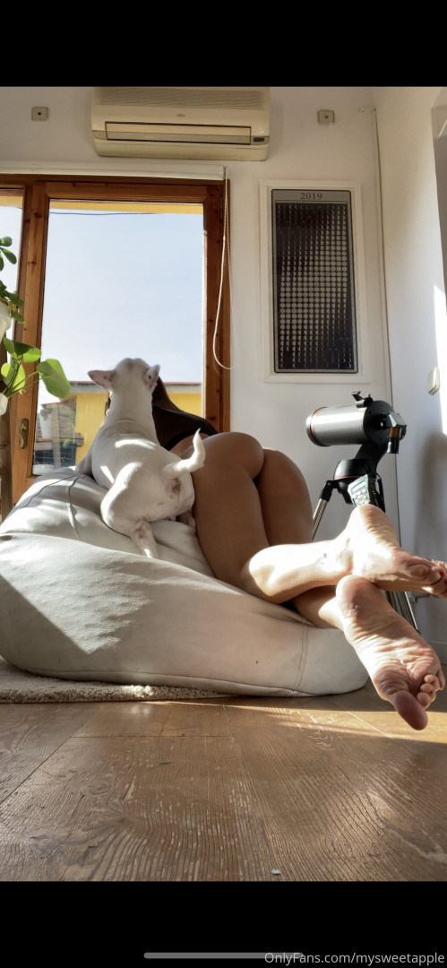 Photo by mysweetapple published on October 16,2023 20:23:25 - BestThots