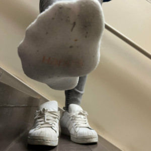 sammysole #6429106