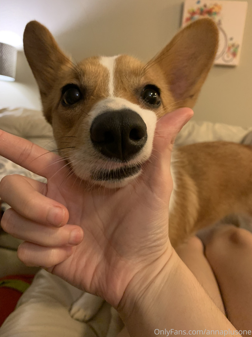 Photo by annaplusone published on November 23,2023 02:36:46 - BestThots