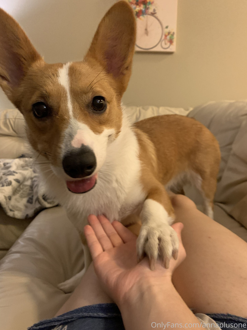 Photo by annaplusone published on November 23,2023 02:44:37 - BestThots