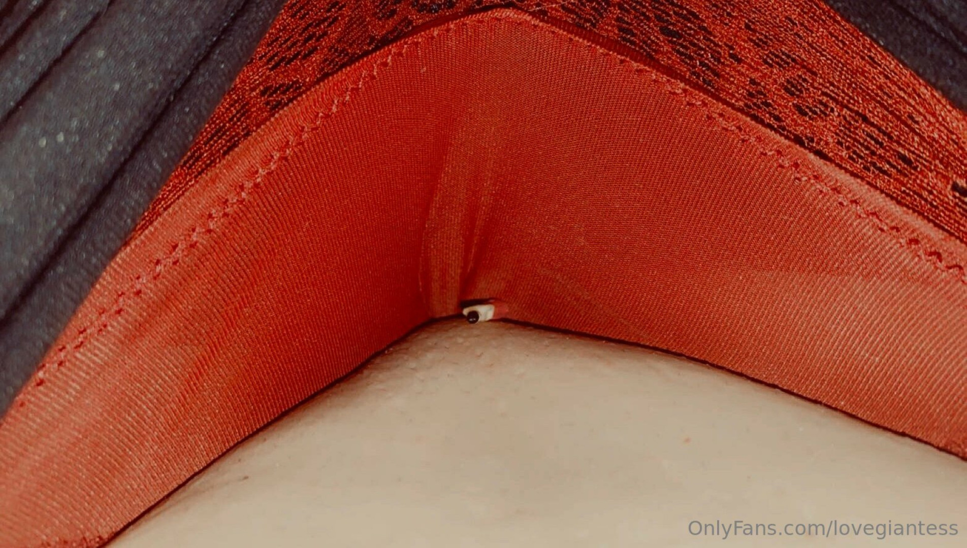 Photo by lovegiantess published on June 23,2023 07:13:03 - BestThots