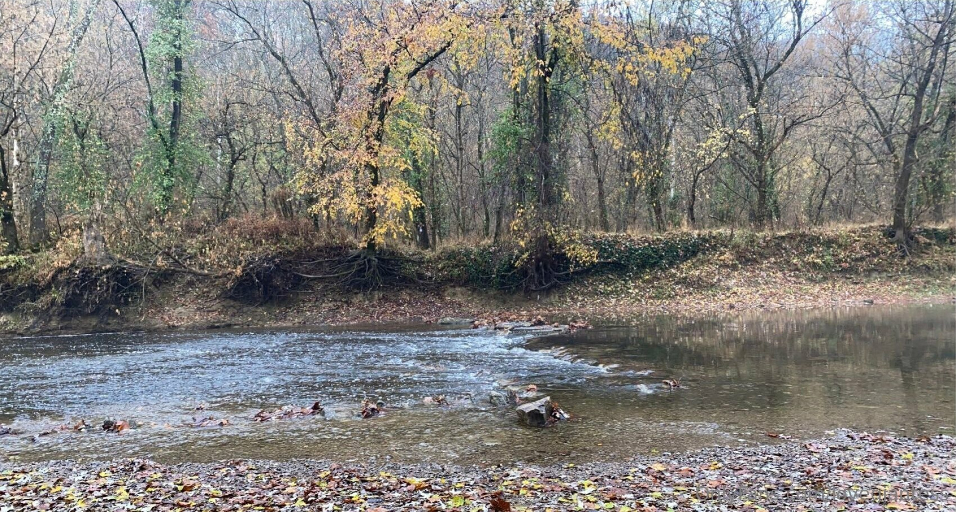 Photo by lovegiantess published on June 23,2023 07:13:08 - BestThots