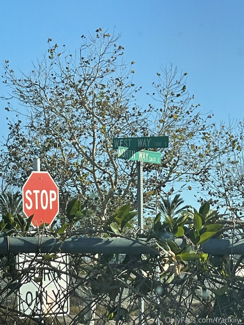 Photo by frankiiy_ published on August 31,2023 17:33:30 - BestThots