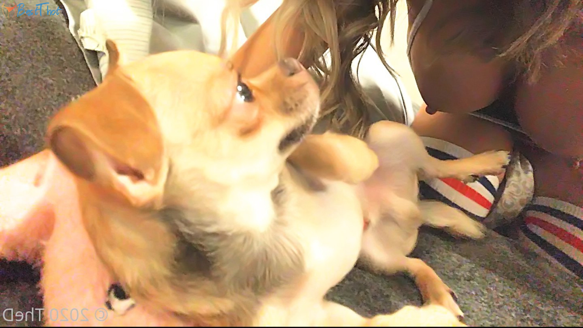 Photo by thedarcyeffect published on December 20,2024 21:08:56 - BestThots