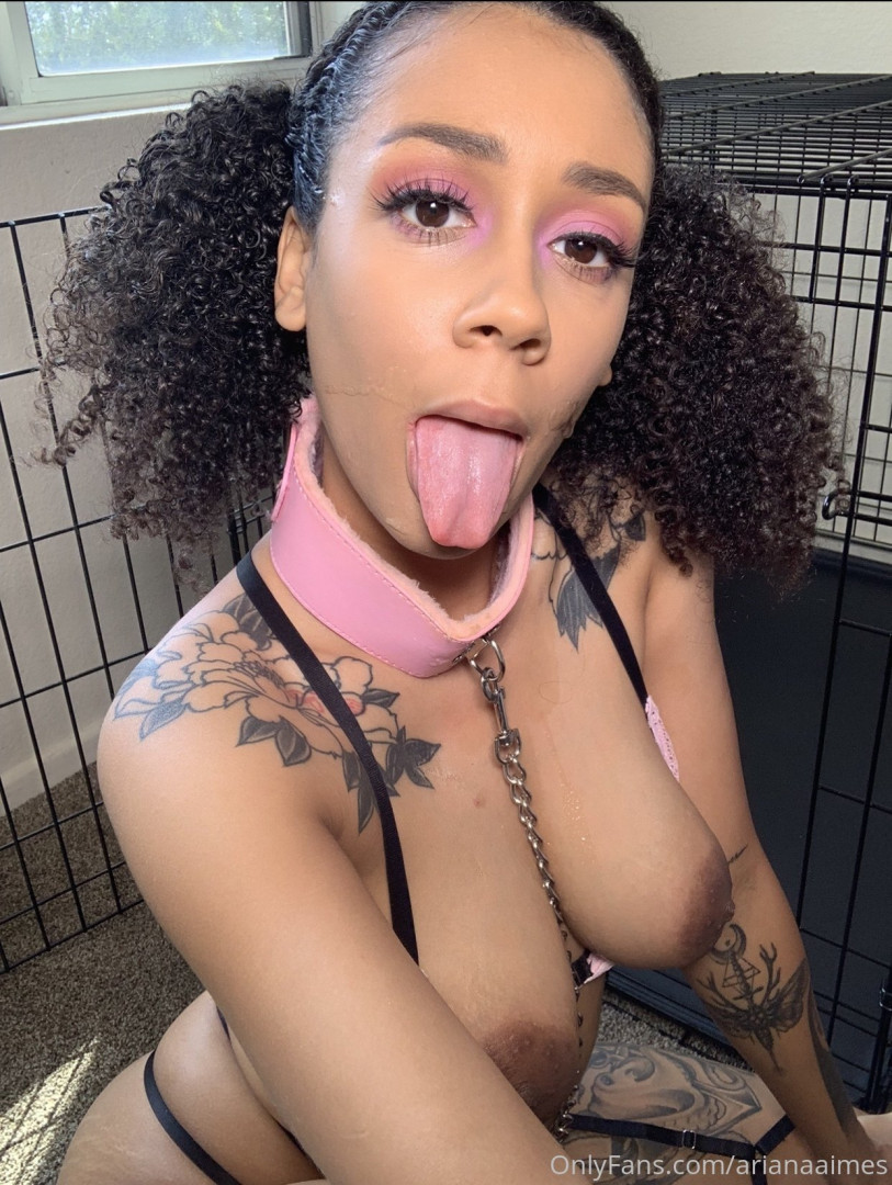 Photo by arianaaimes published on November 24,2023 02:54:36 - BestThots