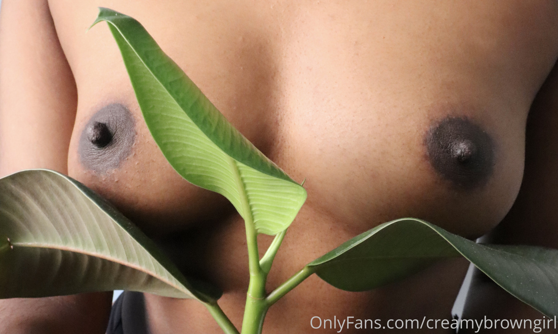 Photo by creamybrowngirl published on October 14,2023 15:04:44 - BestThots