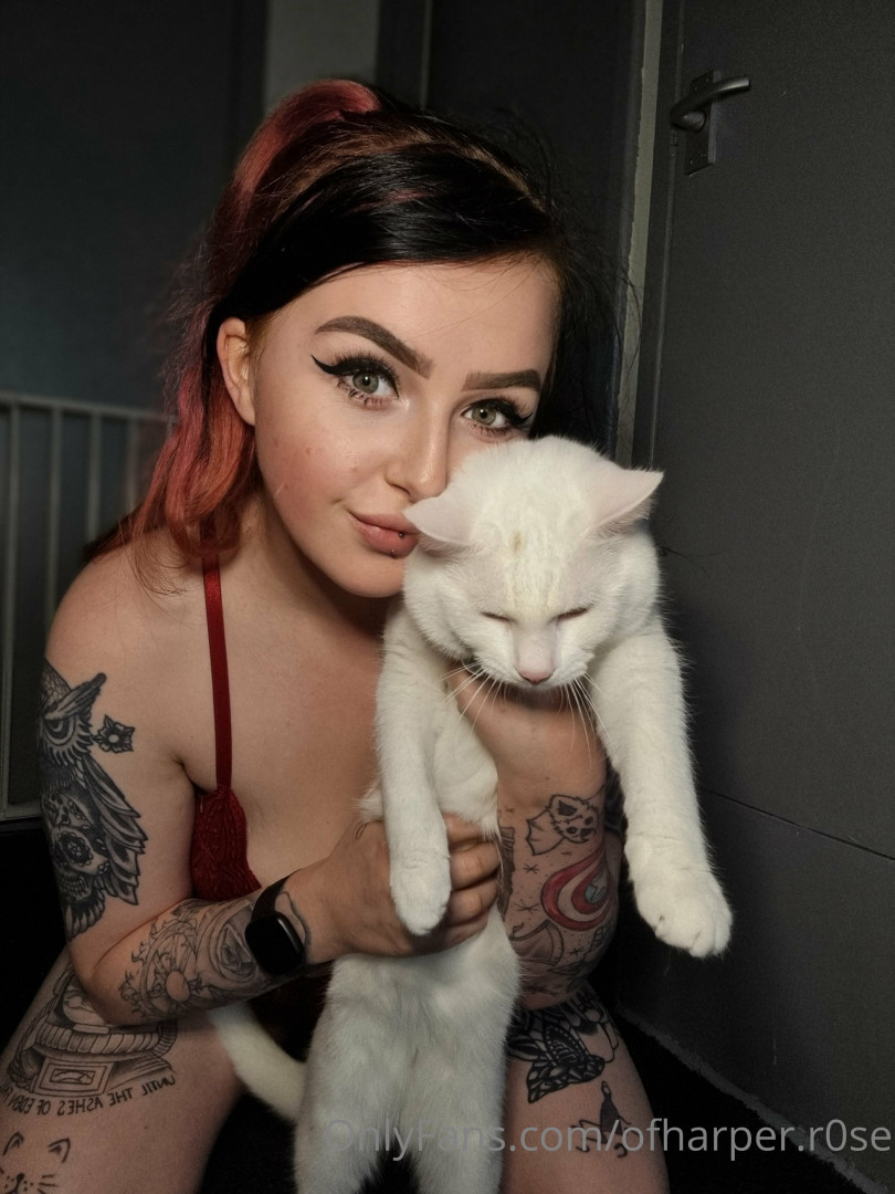 Photo by ofharperr0se published on June 3,2023 04:15:28 - BestThots
