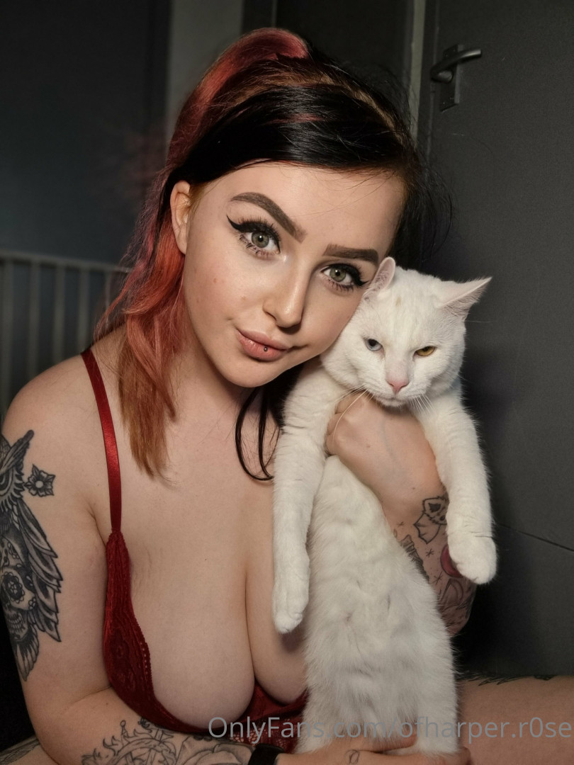 Photo by ofharperr0se published on June 3,2023 04:15:52 - BestThots
