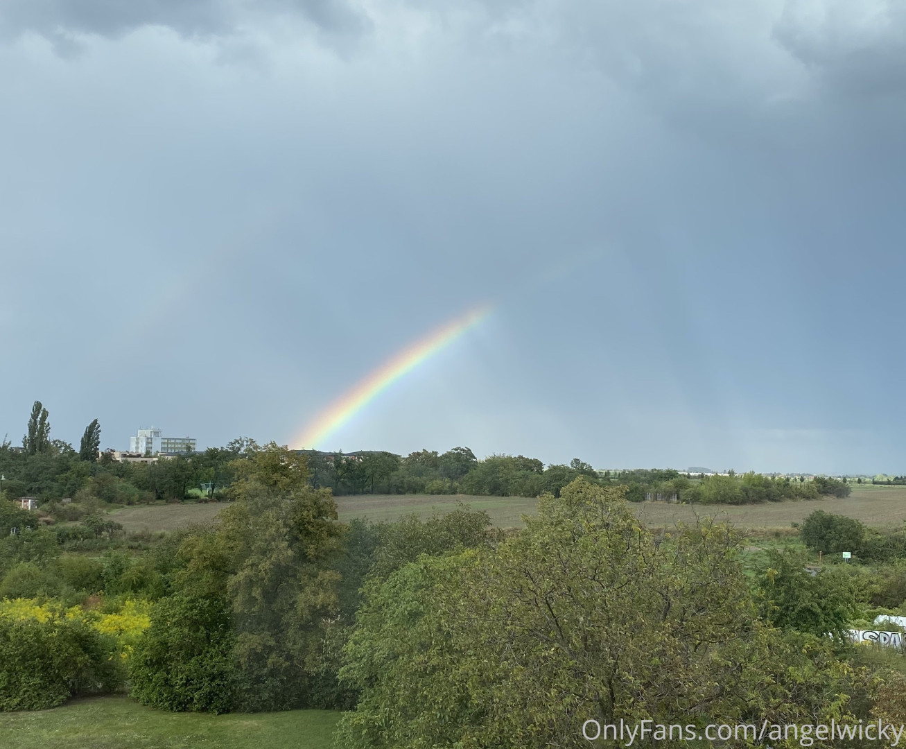 Photo by angelwicky published on November 21,2023 15:50:38 - BestThots