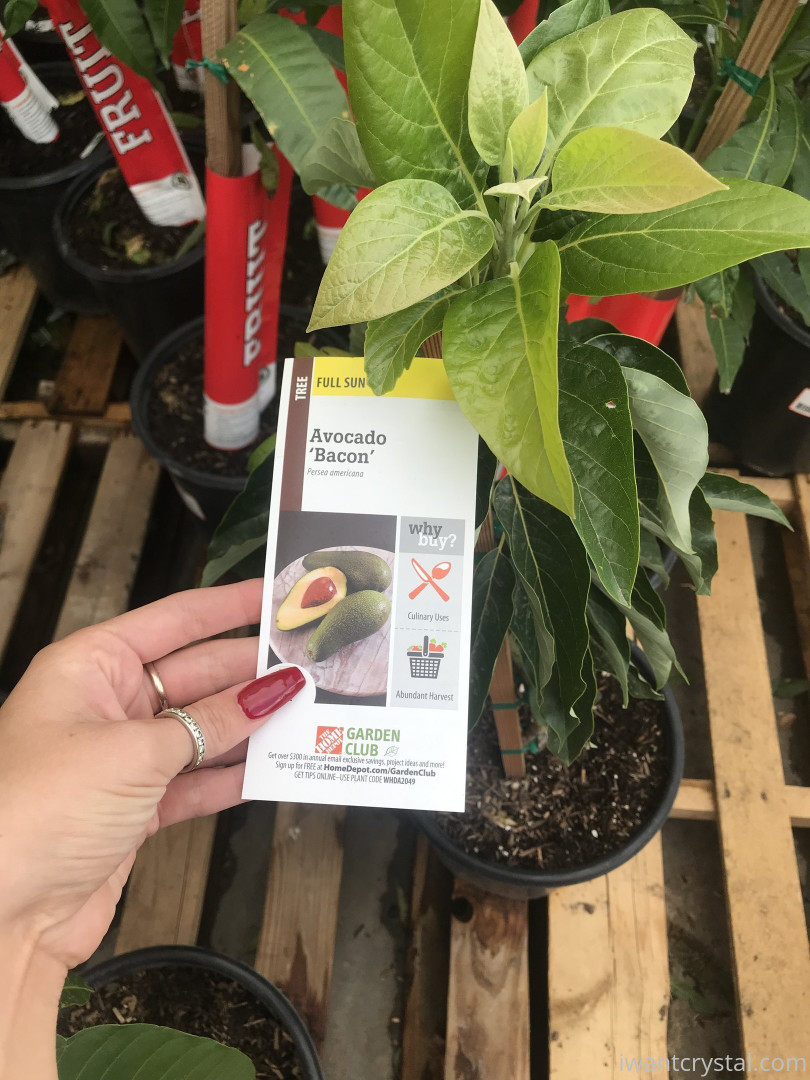 Photo by crystalknight published on January 11,2024 06:24:48 - BestThots