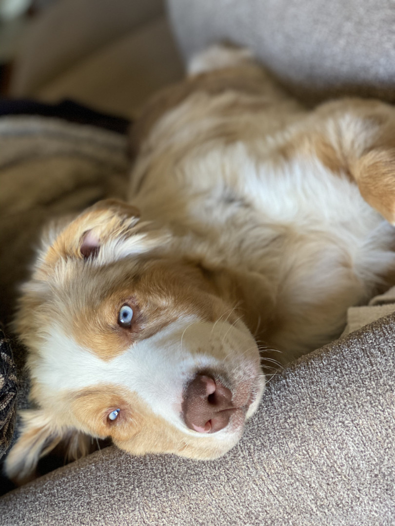 Photo by crystalknight published on January 11,2024 06:25:07 - BestThots