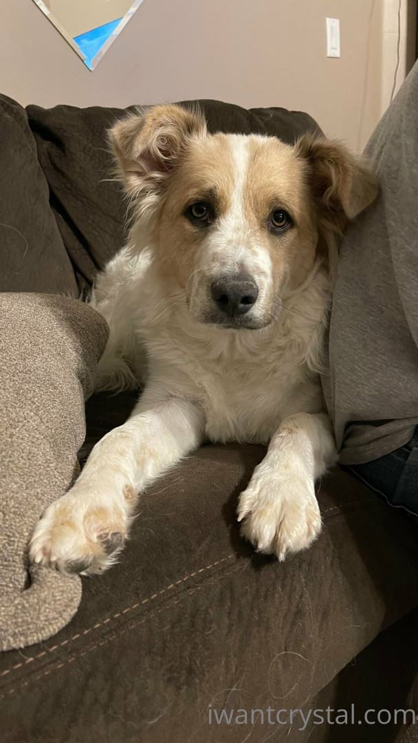 Photo by crystalknight published on January 11,2024 06:26:46 - BestThots