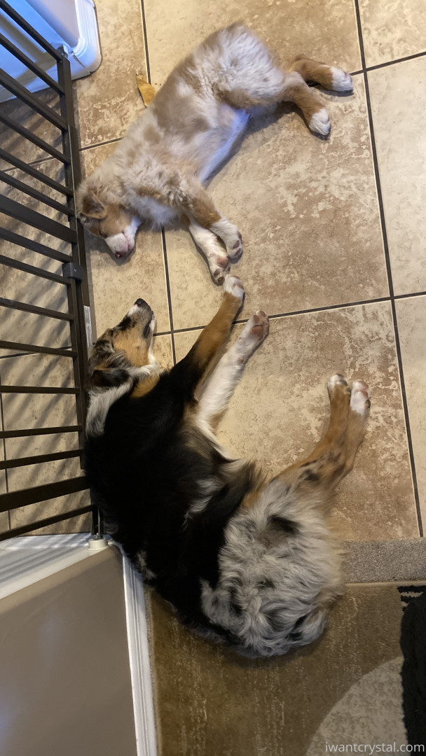 Photo by crystalknight published on January 11,2024 07:25:27 - BestThots
