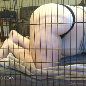 chonkandbean #9064278