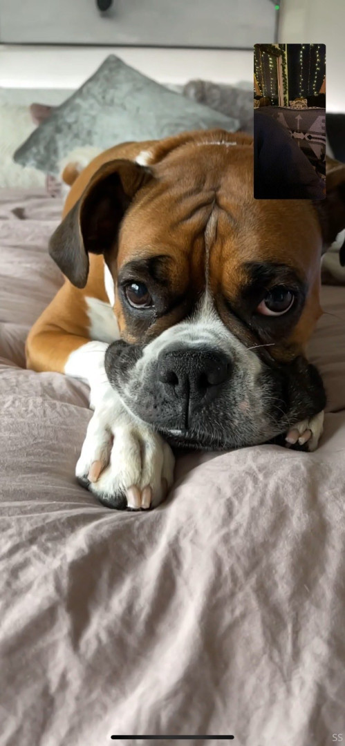 Photo by stefanisomers published on June 25,2023 00:02:26 - BestThots