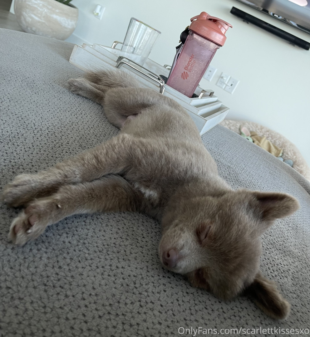 Photo by scarlettkissesxo published on October 16,2023 23:11:18 - BestThots