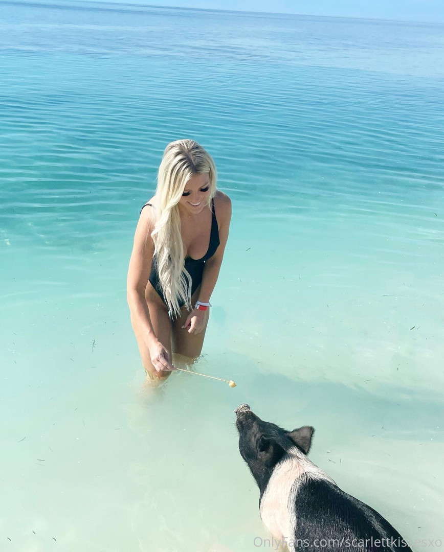 Photo by scarlettkissesxo published on October 16,2023 23:11:44 - BestThots