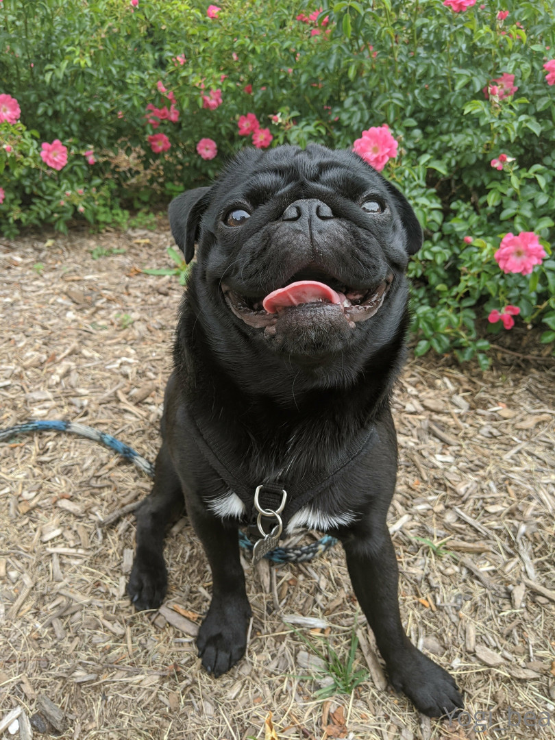 Photo by yogi_bea published on May 15,2023 19:44:30 - BestThots