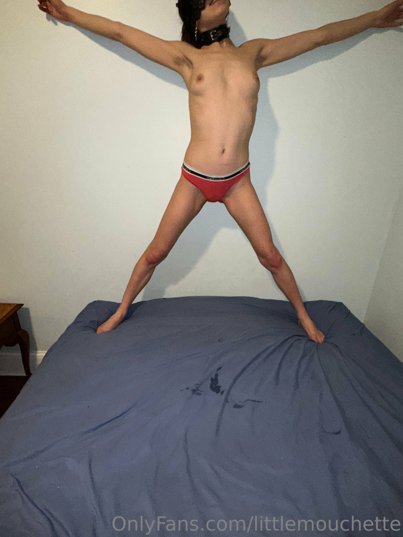 Photo by littlemouchette published on June 26,2023 04:32:40 - BestThots