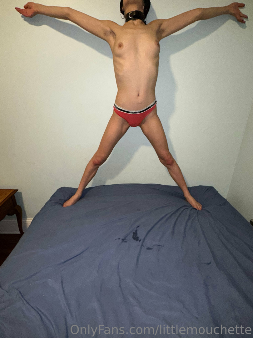 Photo by littlemouchette published on June 26,2023 04:38:46 - BestThots