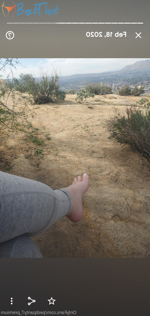 pedipanty7_premium #9492043