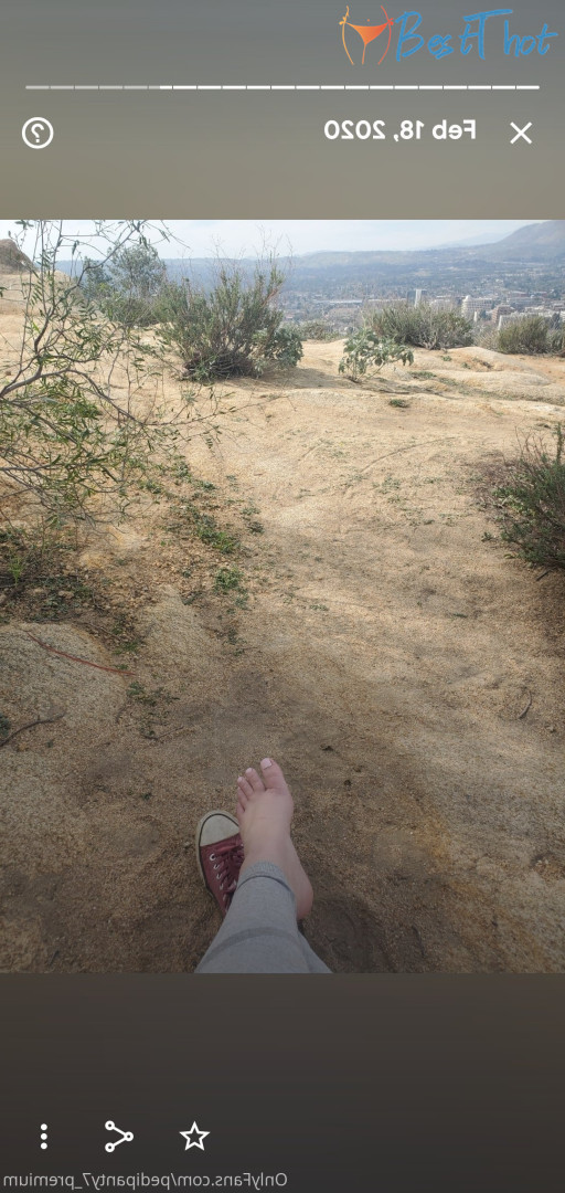 pedipanty7_premium #9492131