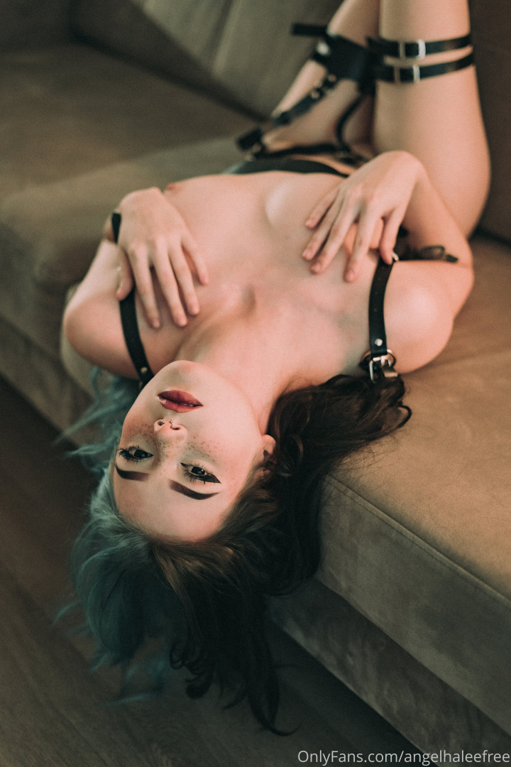 Photo by angelahalee published on November 21,2023 08:29:15 - BestThots