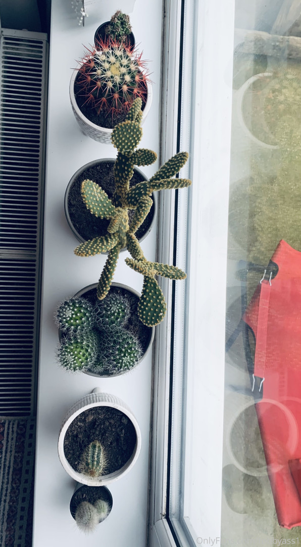 Photo by tobbyass1 published on May 16,2023 16:37:04 - BestThots