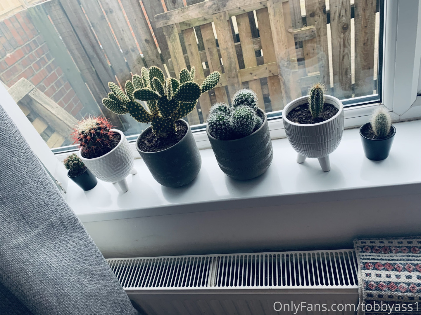 Photo by tobbyass1 published on May 16,2023 16:37:39 - BestThots