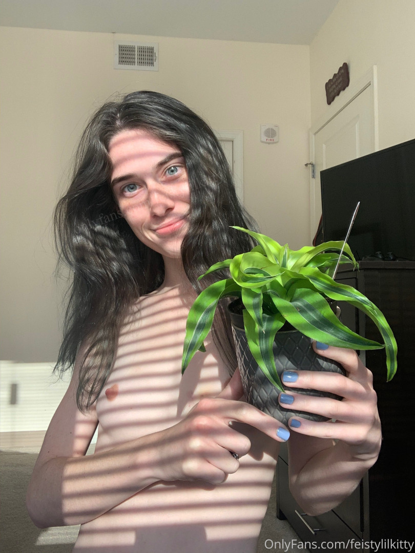 Photo by feistylilkitty published on June 9,2023 16:51:31 - BestThots