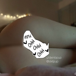 dxmbpup #9322236