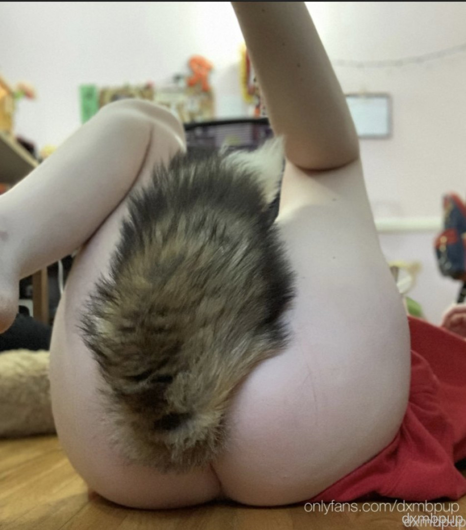 Photo by dxmbpup published on January 15,2024 11:53:07 - BestThots