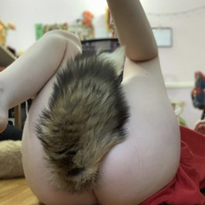 dxmbpup #9322242