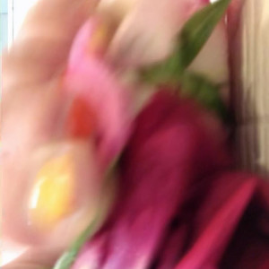 Video by eri_kitami published on June 15,2023 14:11:00 - BestThots