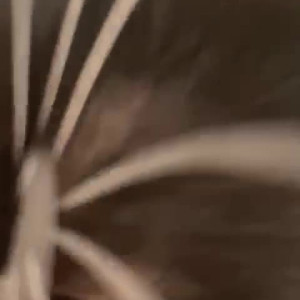 Video by infiltrateproxy published on May 13,2023 22:11:00 - BestThots