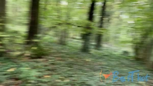 Video by infiltrateproxy published on January 21,2025 07:00:59 - BestThots