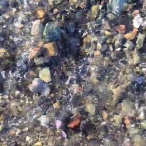 Video by asiri_ocean published on May 31,2023 04:23:00 - BestThots