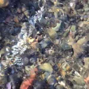 Video by asiri_ocean published on August 11,2023 04:57:00 - BestThots