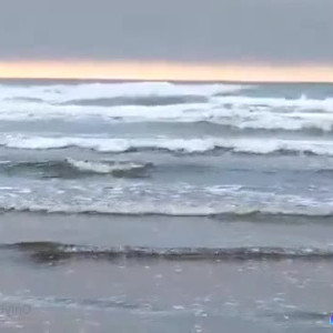 Video by asiri_ocean published on June 22,2023 05:25:00 - BestThots