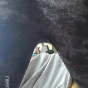 Video by asiri_ocean published on June 20,2023 12:58:00 - BestThots